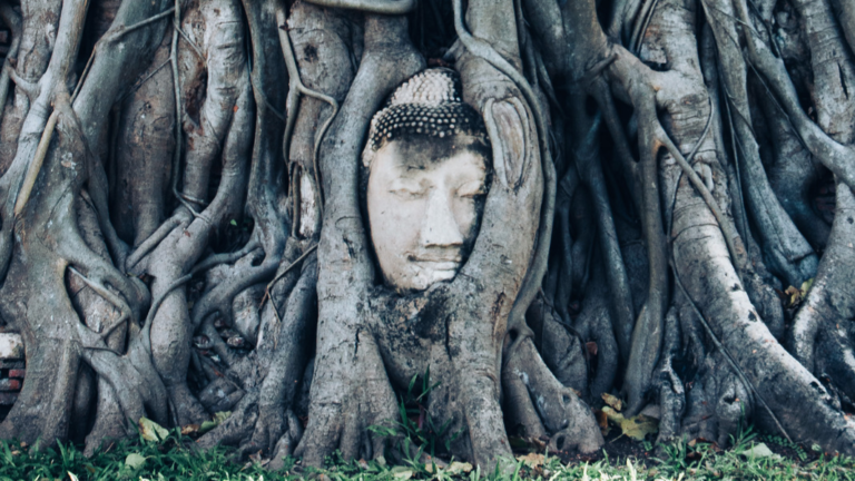 Wat Mahathat - Testa del Buddha nell'albero
