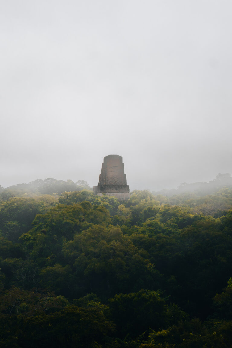 Piramide Maya nella giungla a Tikal Guatemala