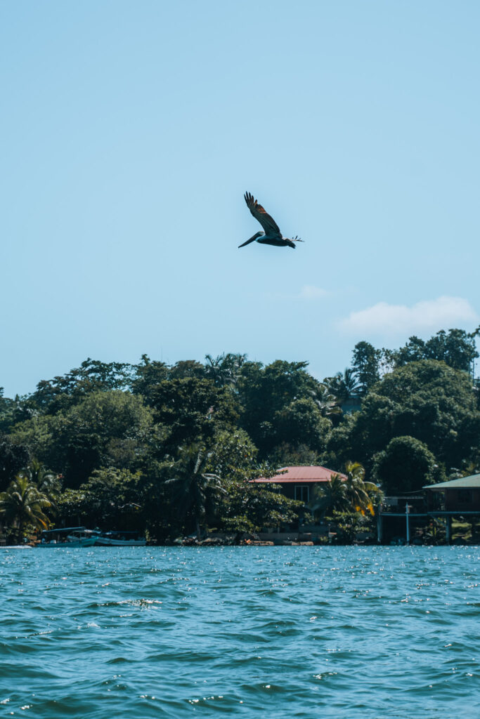 Perché visitare Livingston e Rio Dulce e cosa fare