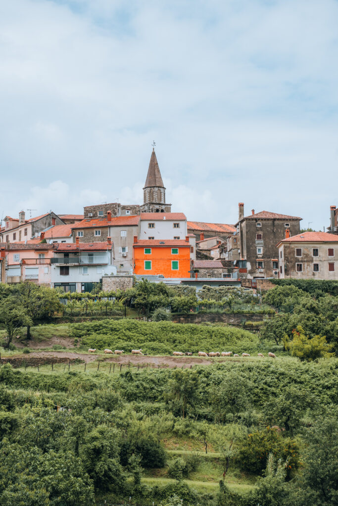 Buie borgo Istria on the road