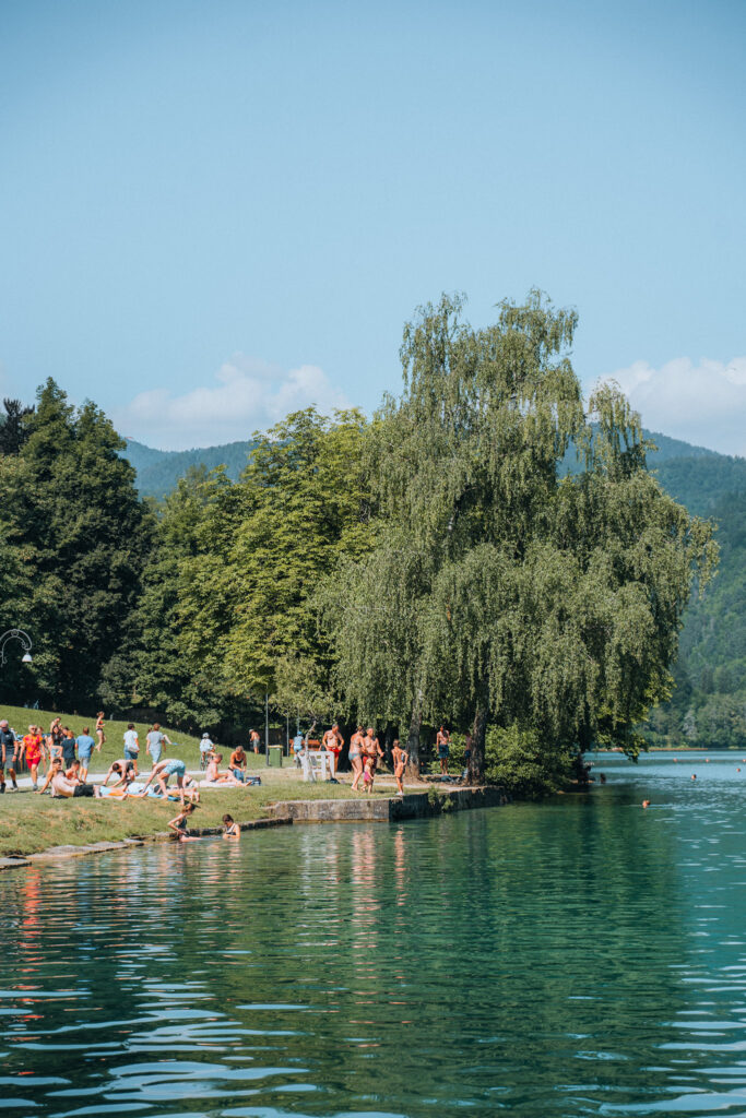 Dove nuotare lago di Bled