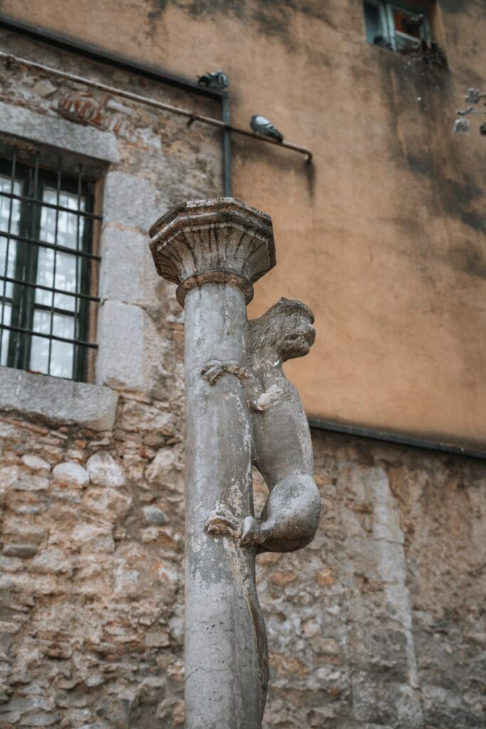 Culo leonessa Girona