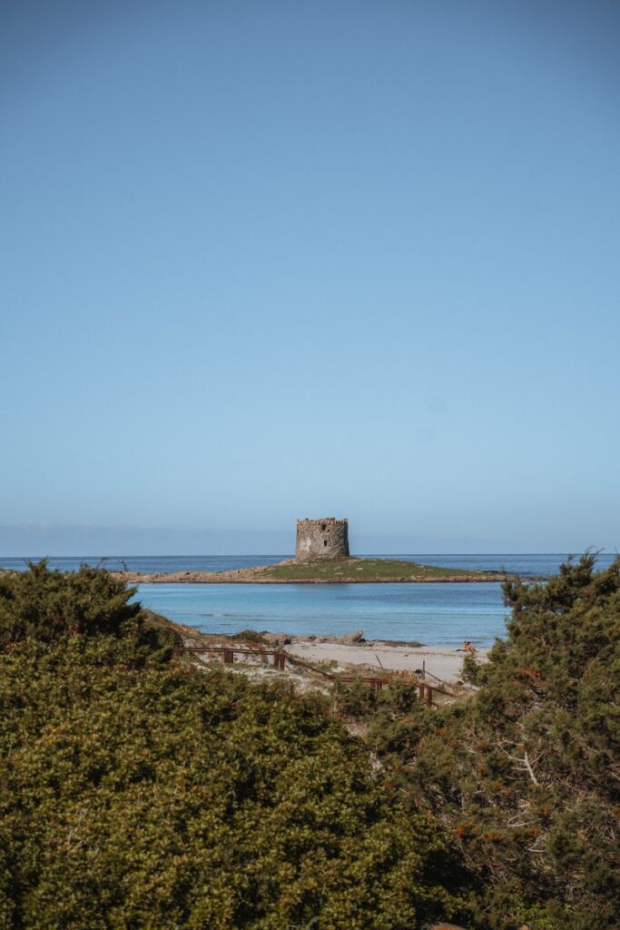 La Pelosa cosa vedere Alghero e dintorni